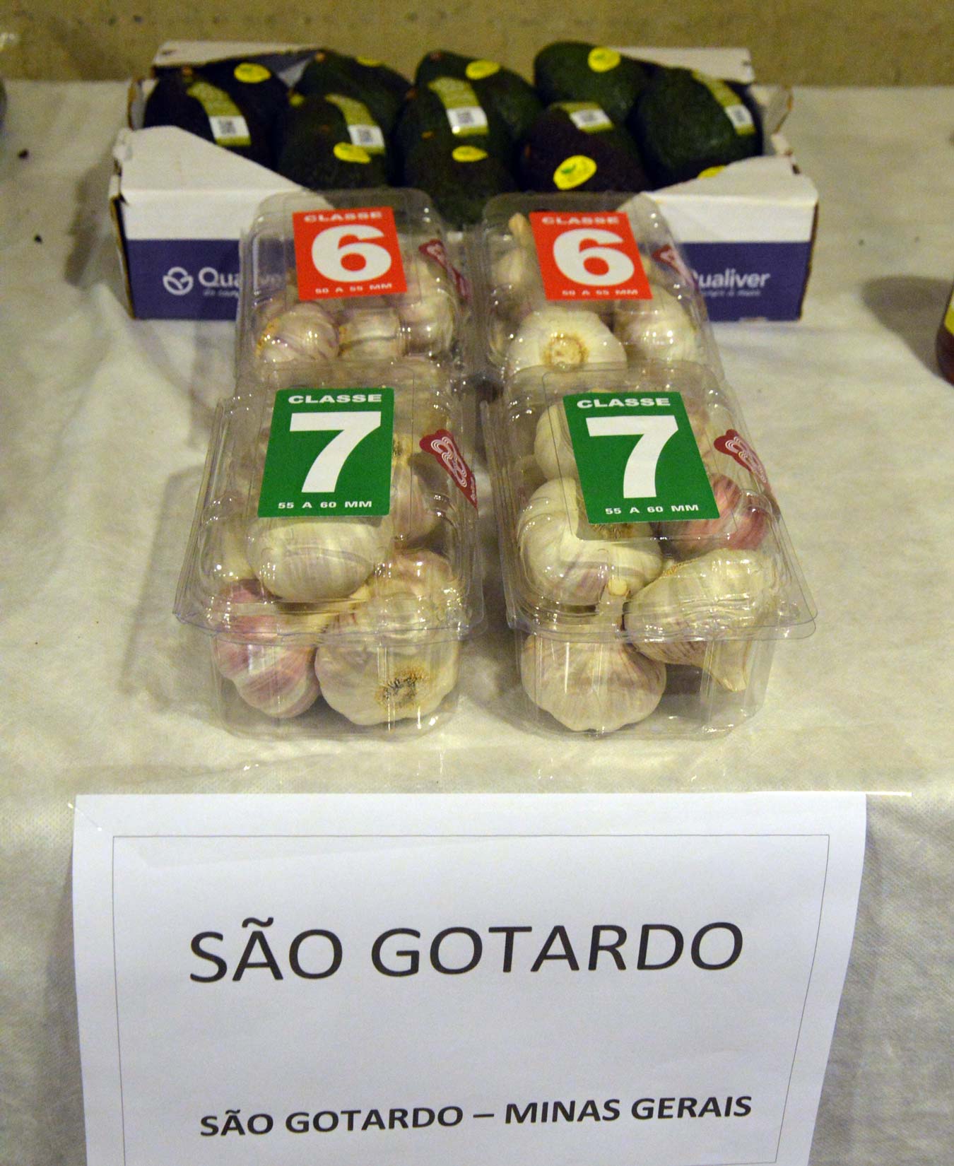 A excelência do Alho de São Gotardo em Minas Gerais. (Foto: Luci Judice Yizima)
